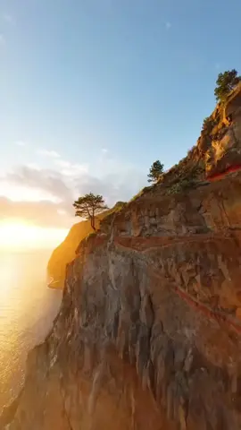 @قناة الخواطر♥👌 #محمد_لمين  #العندليب  #اغاني_الزمن_الجميل  #foryou  #الجزائر🇩🇿_تونس🇹🇳_المغرب🇲🇦 