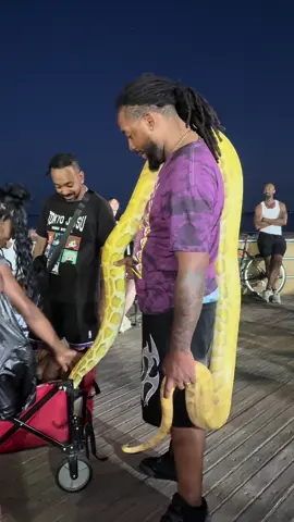 This kid had no fear in him #burmese #burmesepython #snakesoftiktok #coneyisland #fridaynightfunkin 