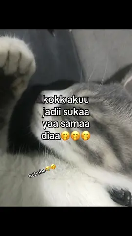 #mengagumi #crush #fyp #4u #xybca 