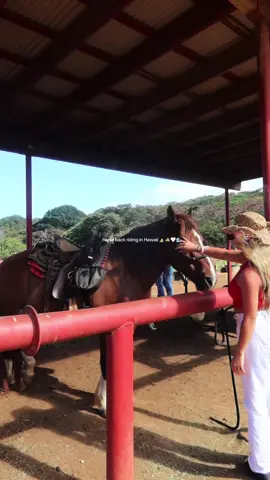 summer bucket list!  #horseriding #hawaii #gunstockranch #Summer #fypシ゚viral #latina #thingstodooahu 