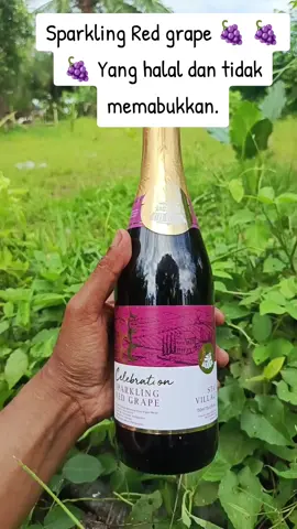 Halal dan tidak memabukkan. #anggur #sparklingredgrape ##starvillage #guncang88 #tiktokaffiliate 