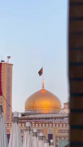 #مشهد #ايران #امام_رضا #الامام_الرضا #علي_بن_موسى_الرضا #اكسبلور #لايك 