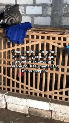 mangan warek bobo nyenyak #ayambangkoksuper #bangkokklasik #ayambangkokindinesia #ayambangkokselatan #bkselatan 