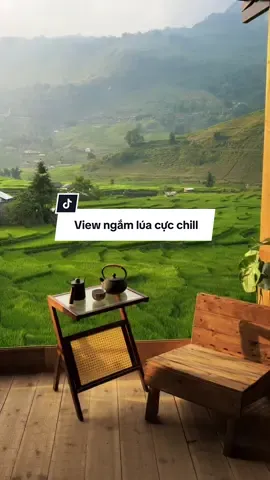 Một buổi chiều ngắm lúa xanh tại góc nhà… #Sapa #Lacafe 