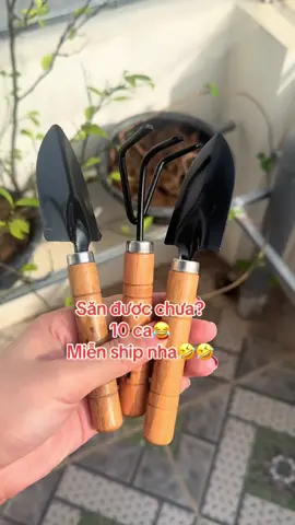 10 cá 3 món nè xinh quá #xh #review #mienship #dungculamvuon 