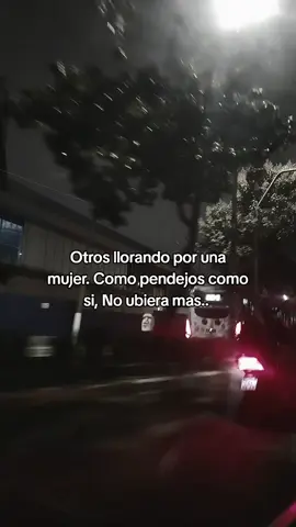 #fipparaty #frasesEgosentrico #fipシviral #fypシ゚ LLORAR POR UNA MUJER JAJA. 