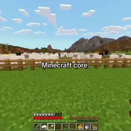 MINECRAFT MENTALITY 💀#fyp #videoviral #core #Minecraft #original (this video is not unoriginal)