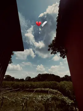 #foryou #foryoupage #TIKToK 