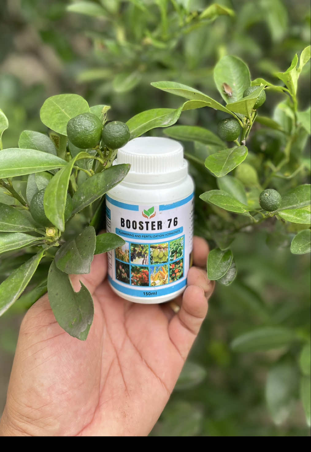 Booster 76 fertilizer and booster #booster76 #bloombooster #fertilizer 