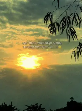 একা বাঁচতে শেখো মানুষ তোমার জানাযায় যাবে কবরে নয়...!!🙂 @mridul1_2_3 #vairal_video_tiktok_trending🥰🥰❤️likeme  #foryoupageofficiall  #bangladesh_tik_tok_🇧🇩🇧🇩official 