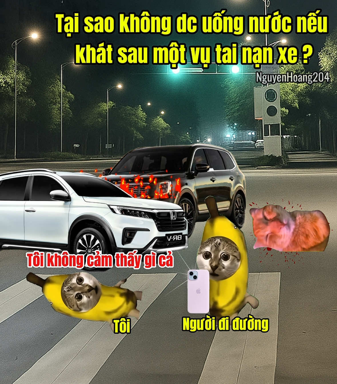 Tại sao không dc uống nước nếu khát sau một vụ tai nan xe ?#meme #catmeme 