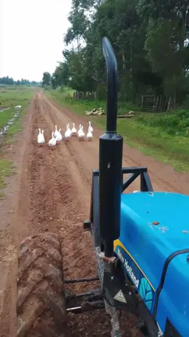 weekend mood weekend love #farmer #uasingishufarm #farming #famlife #newholland 