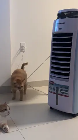 Cái bụng thặc vướng víu ig:@anhhyconmety