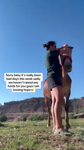 Sorry baby it's really been bad days this week sadly we haven't raised any funds for you guys I am loosing hope🥺please guys support 