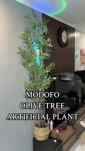 Modofo olive tree Artificial plant indoor #artificialplants #olivetree #indoorplants #homedecor #plants 