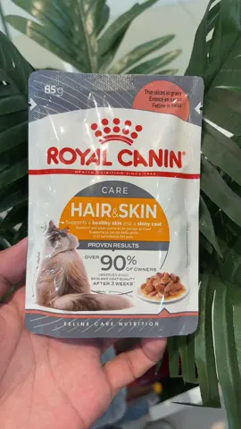 Royal Canin Hair & Skin 85g #Royalcanin #tiktokaffiliatemarketing #tiktokaffiliatesph #catlife 