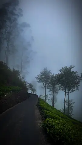 #liptonseat #nature #misty #tea #famous #srilank 