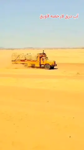 #الزيتواي -حديد- في -السكه-مابتقاوه