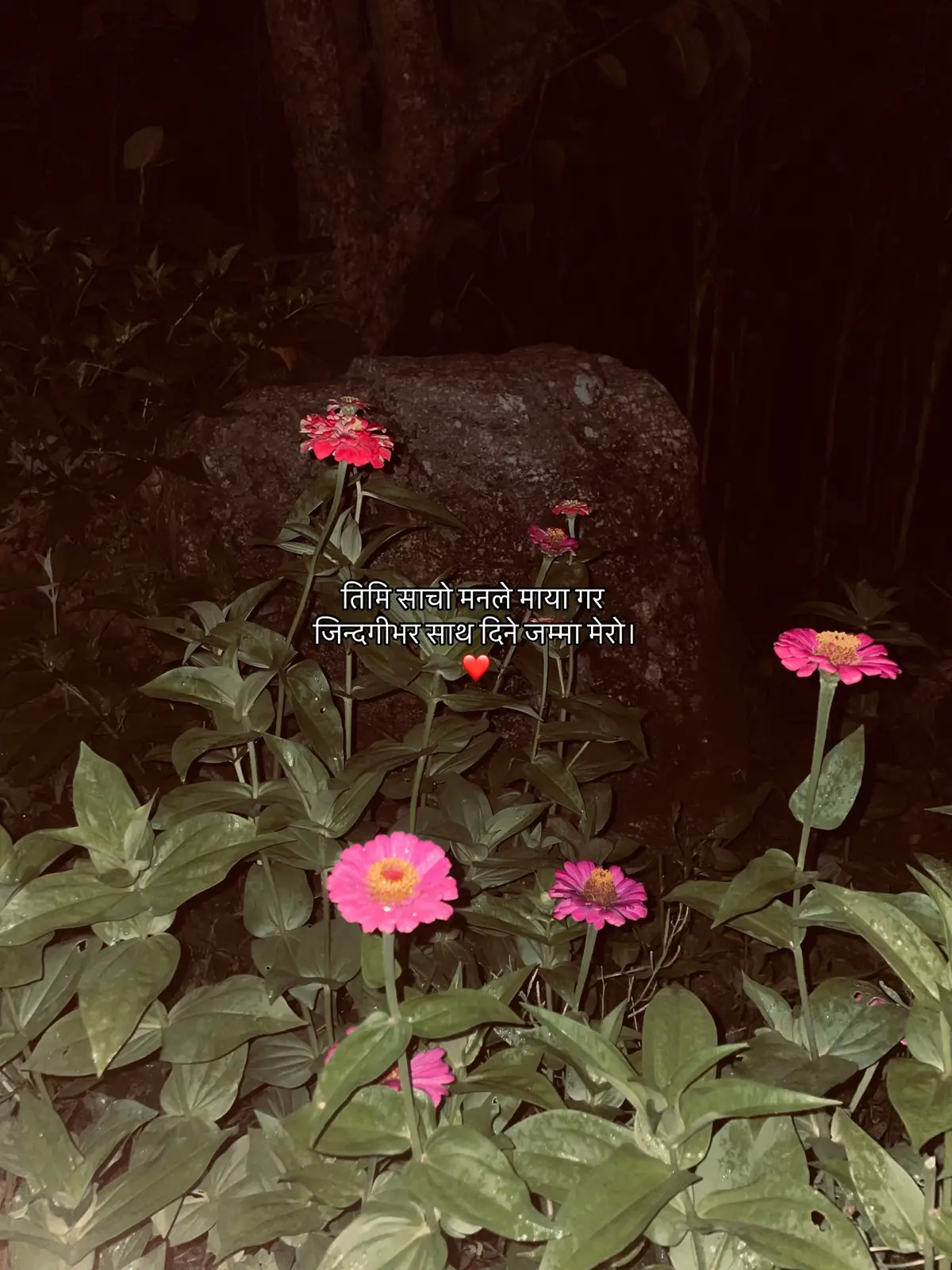 #fypシ゚ #thamandada #foryoupage 