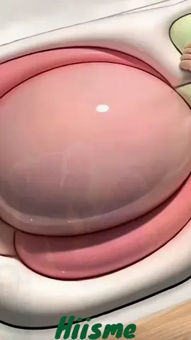 16 Món Đồ Khiến Nhà Tắm Gọn – Sạch – Thơm Như Spa, Giá Chỉ Vài Chục Nghìn! #ReviewSanPham #GiaDungThongMinh #MeoHay #GiaDungTienIch #DoNhaBep 