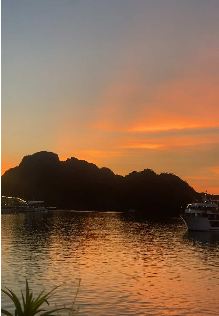 Hoàng Hôn Trên Biển #ambrosecruise #lapandora #Ambrose #duthuyen #duthuyenhalong #Lanhabay #dulichhalong #lapandoracruise 