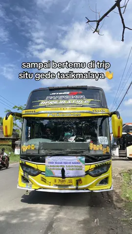 yayayay#fyp #busmania #lewatberanda #cowobus #fotolive 