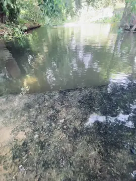 人的眼睛是黑的,心是红的,但有时眼睛一红,心也就黑了。Con người có đôi mắt màu đen, trái tim màu đỏ, nhưng đôi khi mắt đỏ, trái tim lại trở nên tối tăm..! #ĐứcHieu🏞️ #xhtiktok #xaykenhtiktok #caphay 
