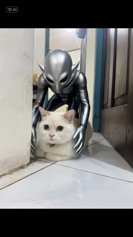 #catsoftiktok #kucinglucu #alien #ai #catlover #fyppppppppppppppppppppppp #funnycat 