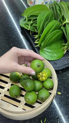 Em lên thêm 1 kiểu tỉa hoa nữa, mến mời mọi người tham khảo nhé ạ  #dạytỉacautrầu  #trầucau #xu_huong #trầutêmcánhphượng #xuhuong #dạytỉacautrầu #dạytỉacautrầunghệthuật #trápcautrầu #xuhuong2025🥰 