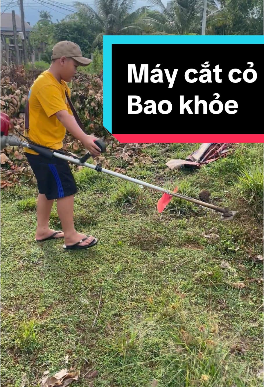 Máy cắt cỏ gx35 4thì xăng riêng nhớt riêng. Bao mạnh,bao khoẻ#maycat #maycatco#maycatcogx35 #maycatco4thi#xuhuong#thomayduyquy