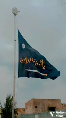inallah marani #nadeemsarwar #2million #fyp #alimola #trending #viral #foryou #noha 