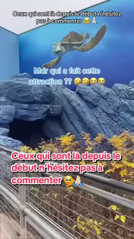 C’est fou 🥲🙏🏻 Merci à ceux qui me suivent depuis ce moment-là 🙏🏻❤️ #video #percersurtiktok #percer #abonne #thankyou #thanks #disneylandparis #attraction #crushscoaster 