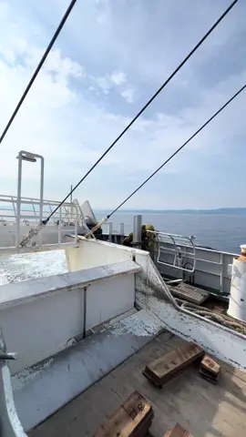 #kenshuseijapan🇮🇩🇯🇵🎌 #xyzbca #fypシ 