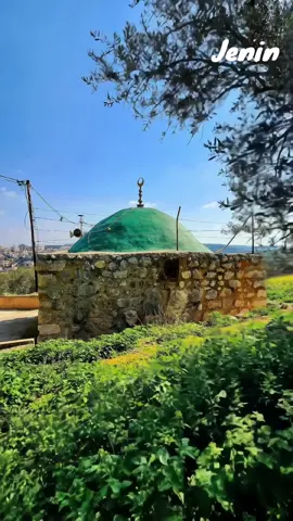 #jenin  #جنين  #مسجدالمنصور