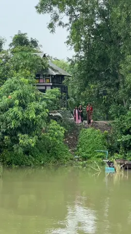মেয়ে নাচটা সেরা হইছে 😵‍💫😩