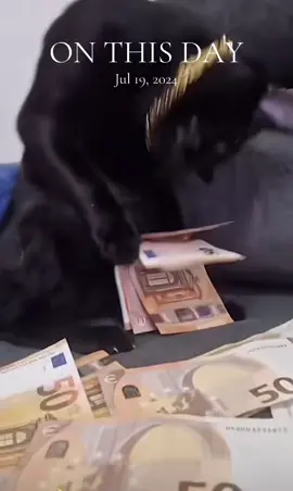 #onthisday 