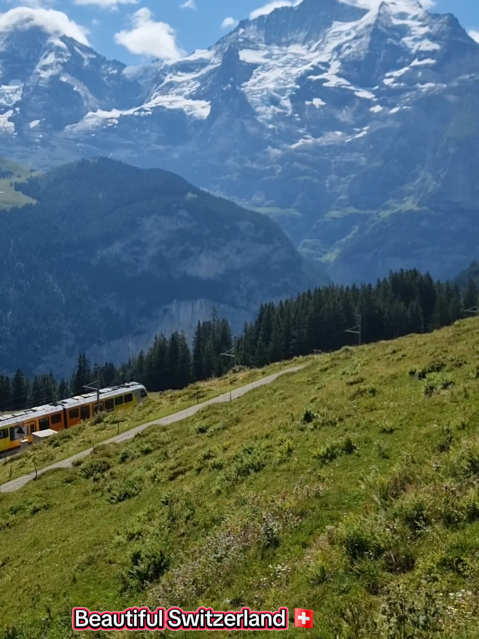 Beautiful Switzerland 🇨🇭  #desiandeuropean #switzerland🇨🇭 #jungfraujoch #foryou #mountain #travel #1millionaudition 
