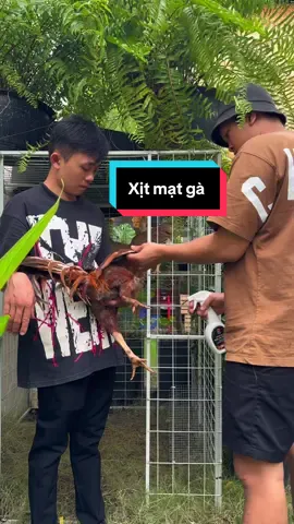 Có chứ #tinfarm @Tinfarmshop1 