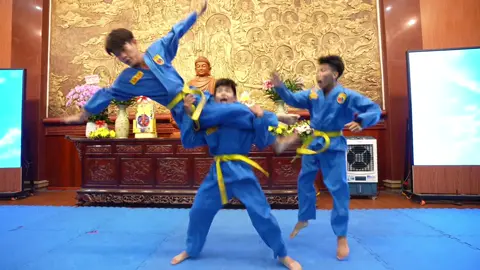 Đòn chân tấn công ❤️‍🔥 #thayduydayvo #vovinamvlute #chuahoiduc #CapCut #fly #vlute #xuhuong 