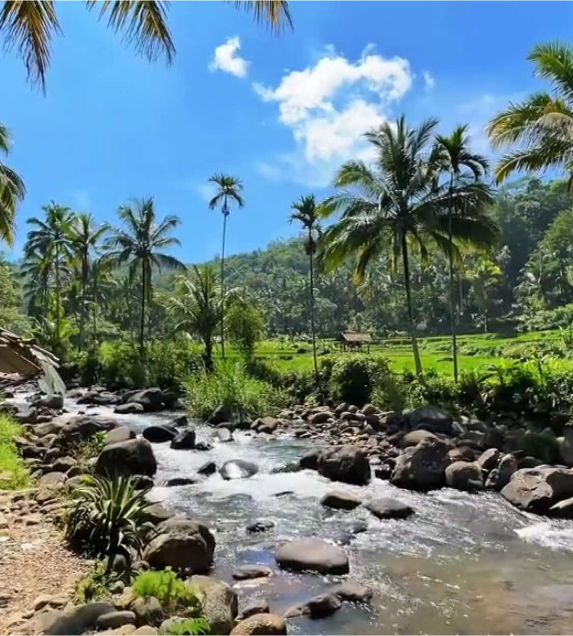 Jam berapa lewat fyp kalian? #aesthetic #fupシ #trendingvideo #cinematicvideo #sawah #sungai #fyp 