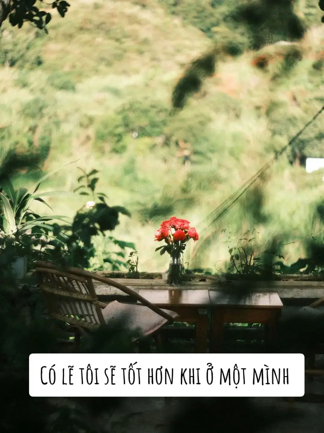 Một mình có vẻ hơi cô đơn nhưng bình yên!#codon#binhyen