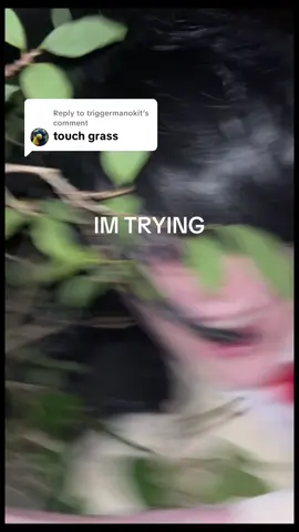 Replying to @triggermanokit ive been searching for weeks for “grass” i am now lost in the jungle thanks a lot 