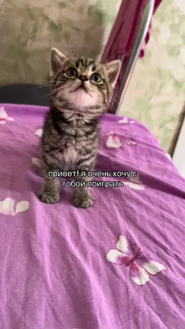 Мотя эгоист 