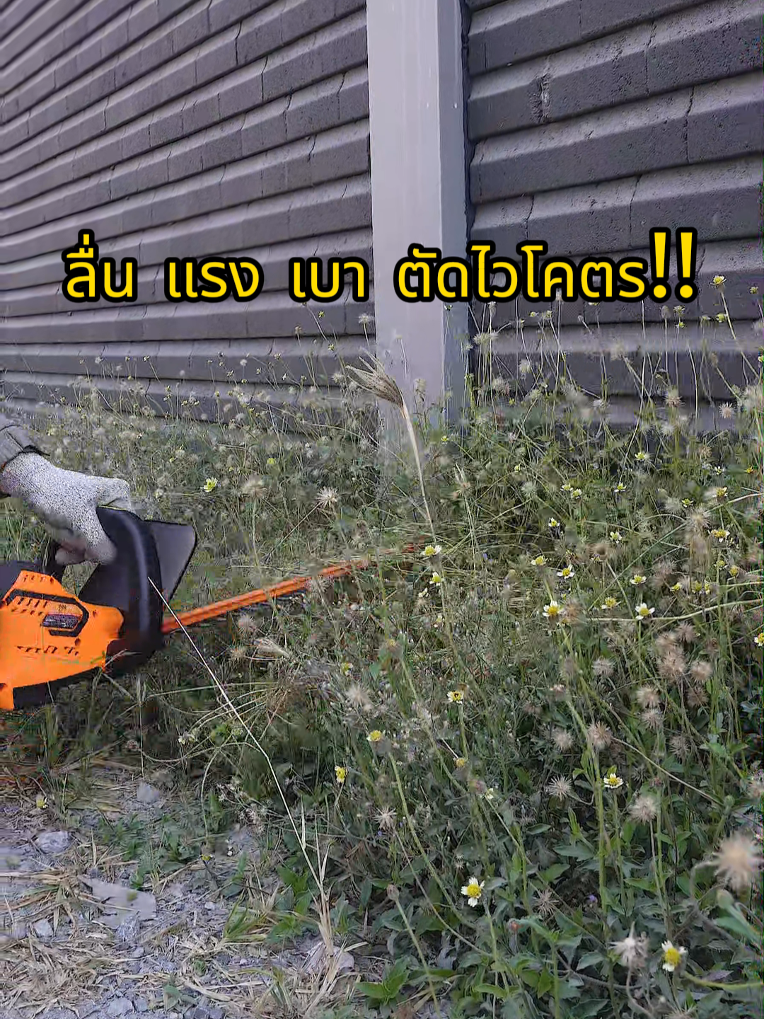 InnTech เครื่องตัดแต่งพุ่มไม้ รุ่น MKT-520T 🌿แต่งสวน ตัดขอบ ตัดพุ่ม เอาอยู่ทุกมุมบ้าน🌳✂️เบิ้มลองแล้ว คุ้มหลายเด้อครับ #เบิ้มลองให้แล้ว #ช่างเบิ้มเทสต์แล้ว #inntech #เครื่องตัดพุ่มไร้สาย #อุปกรณ์ช่าง #ของมันต้องมี #ของดีบอกต่อ #เปิดการมองเห็นtiktok #tiktokshop #รีวิวจริงไม่จกตา #ฟีดดด