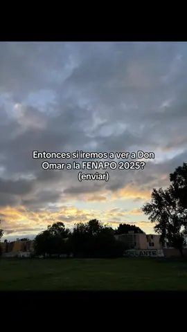 Si o ne?#donomar #paratii #fypシ゚ #fenapo2025 #viral 