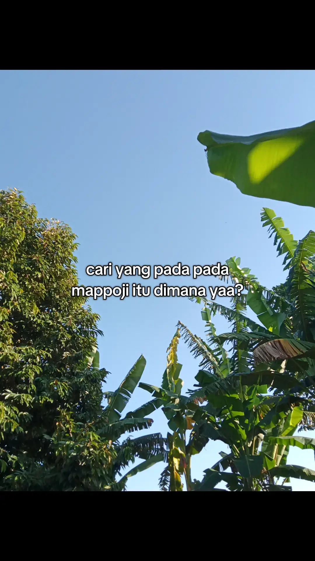 #bugispinrang #bugis #masukberanda #bugistiktok #pinrangsulawesiselatan #fyp #foryou 