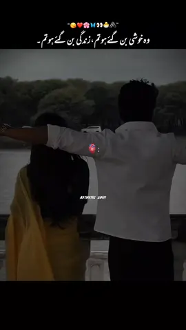 Zindagi ban gaye ho Tum....🥰❤️#fyp #fypage #fypviralシ #foryou #foryoupage❤️❤️ #viraltiktok #viral #video #song #status #unfreezemyacount😡😡 @@Hamzashahbaz687 