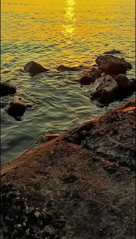 belum sempat bahagia deng ko, tiba