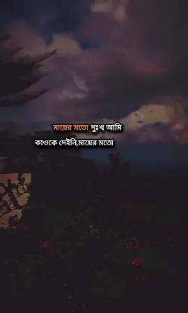 মায়ের মতো দুঃখ আমি  কাওকে দেইনি,মায়ের মতো ভালোবাসাও আমাকে কেউ দেয়নি...❤️‍🩹🩹#foryou #bairal @TikTok Bangladesh @TikTok 