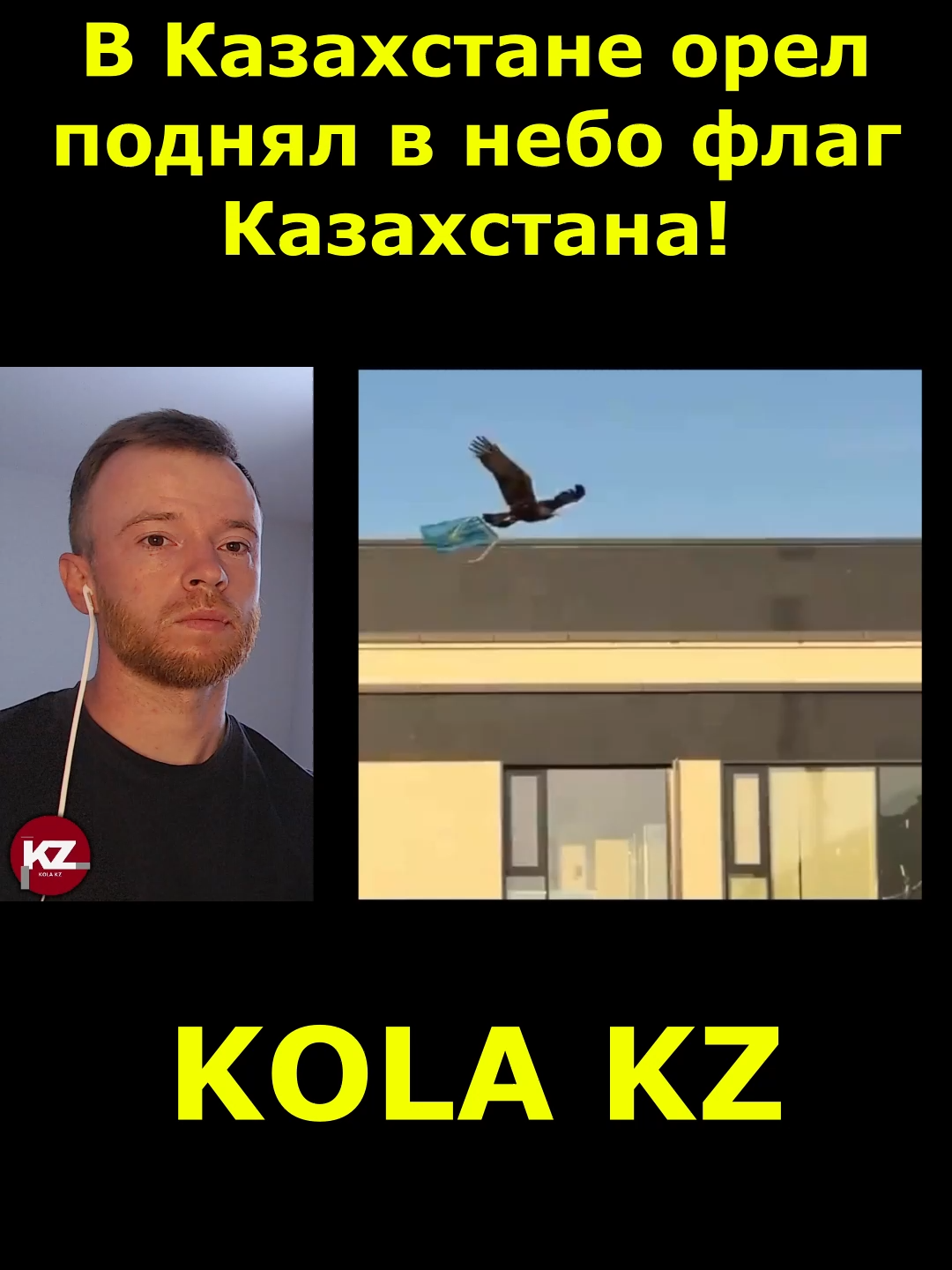В Казахстане орел поднял в небо флаг Казахстана! | #реакция #казахстан #KOLA_KZ #kolakzреакция #колакз #русскиевказахстане #Казахстан #kolakz #РусскиевКазахстане #ҚазақТілі #Оказахах #русофобиявказахстане